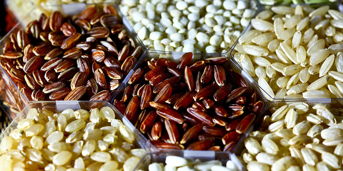 ristyper - sorte hvide brune røde ris