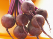 Rødbeder - kartofler og rodfrugter - varme vs kolde - resistent stivelse