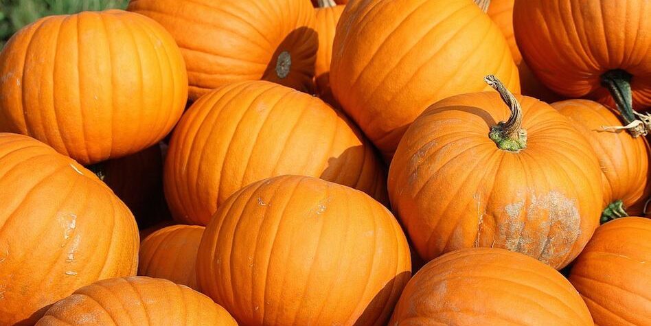 græskarfrikadeller sunde frikadeller frikadeller opskrift